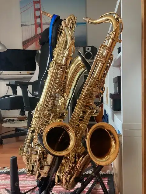 Saxophones - How do you store your sax between practice sessions | Page ...