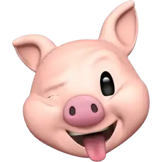 1762223348140.webp