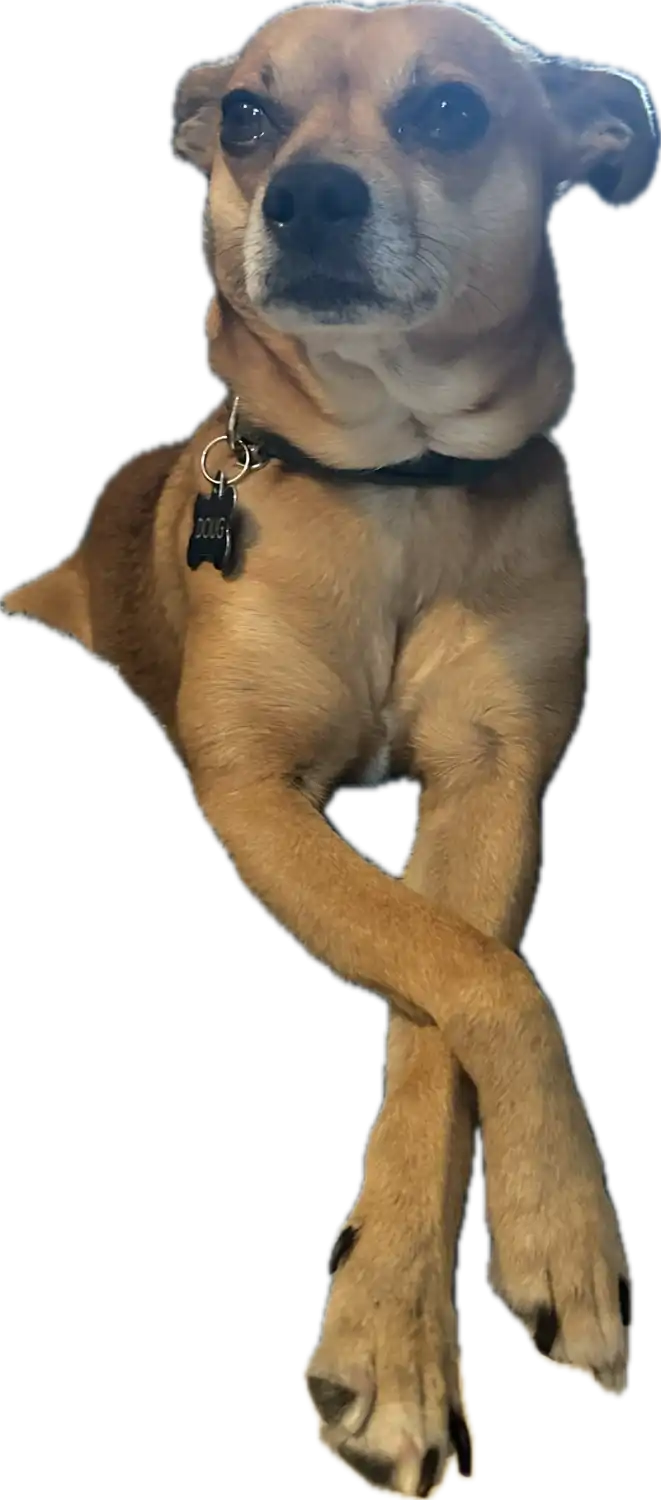 1780289506275.webp