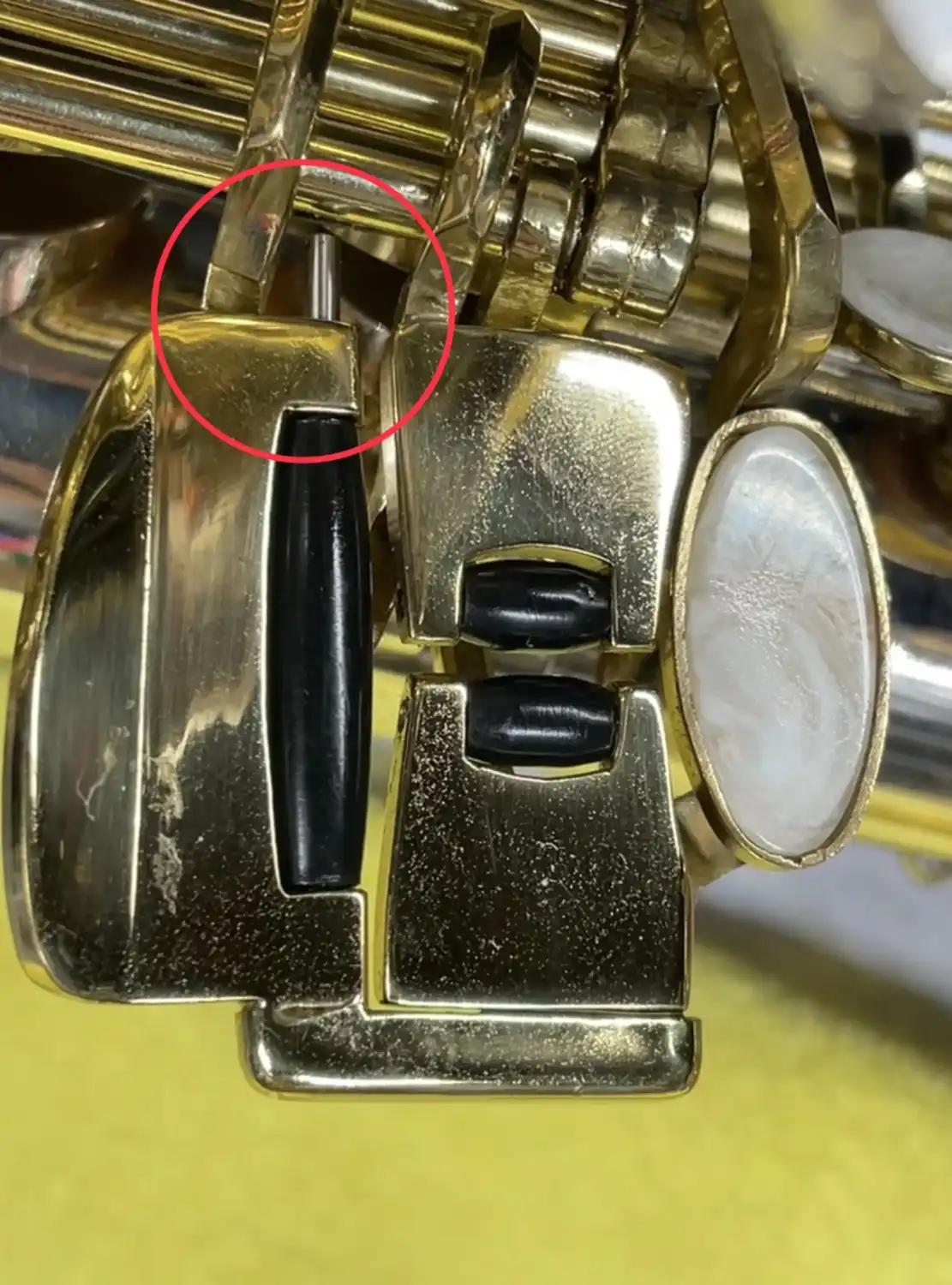 1787029941715.webp