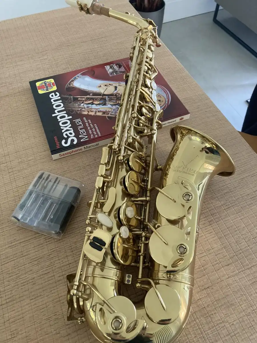 Saxophones - Is this the more desirable one? | CafeSaxophone Forum
