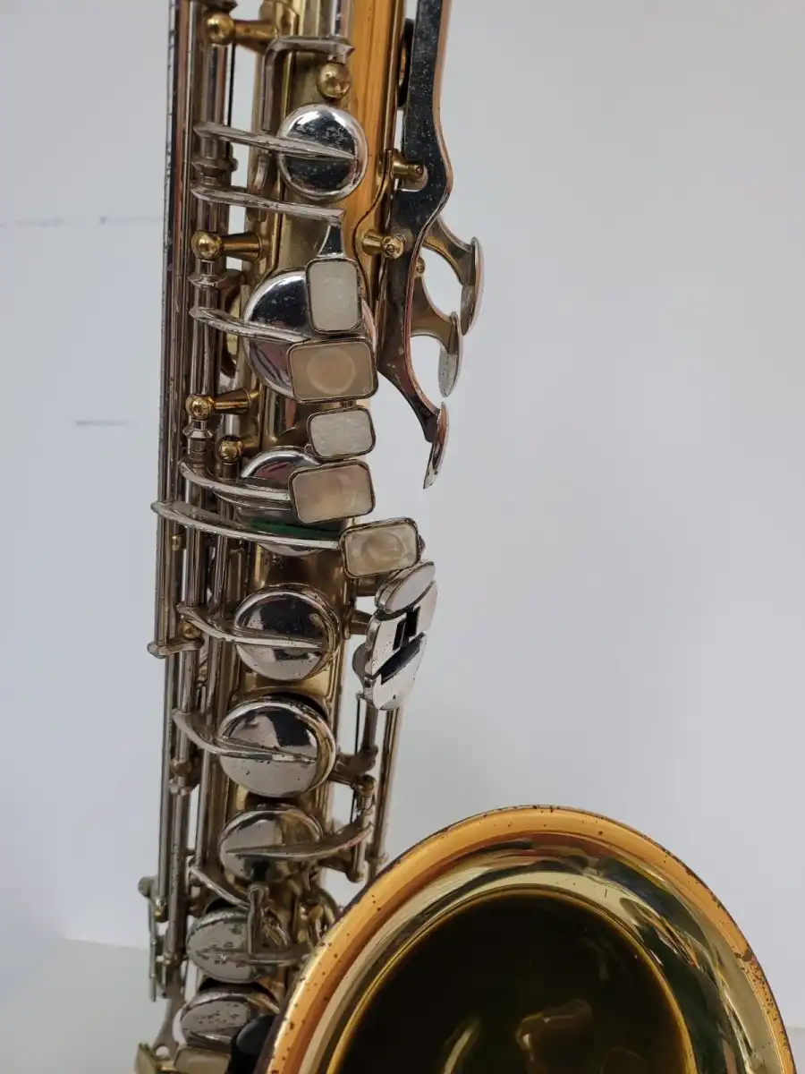 6895660_1616088019.jpg