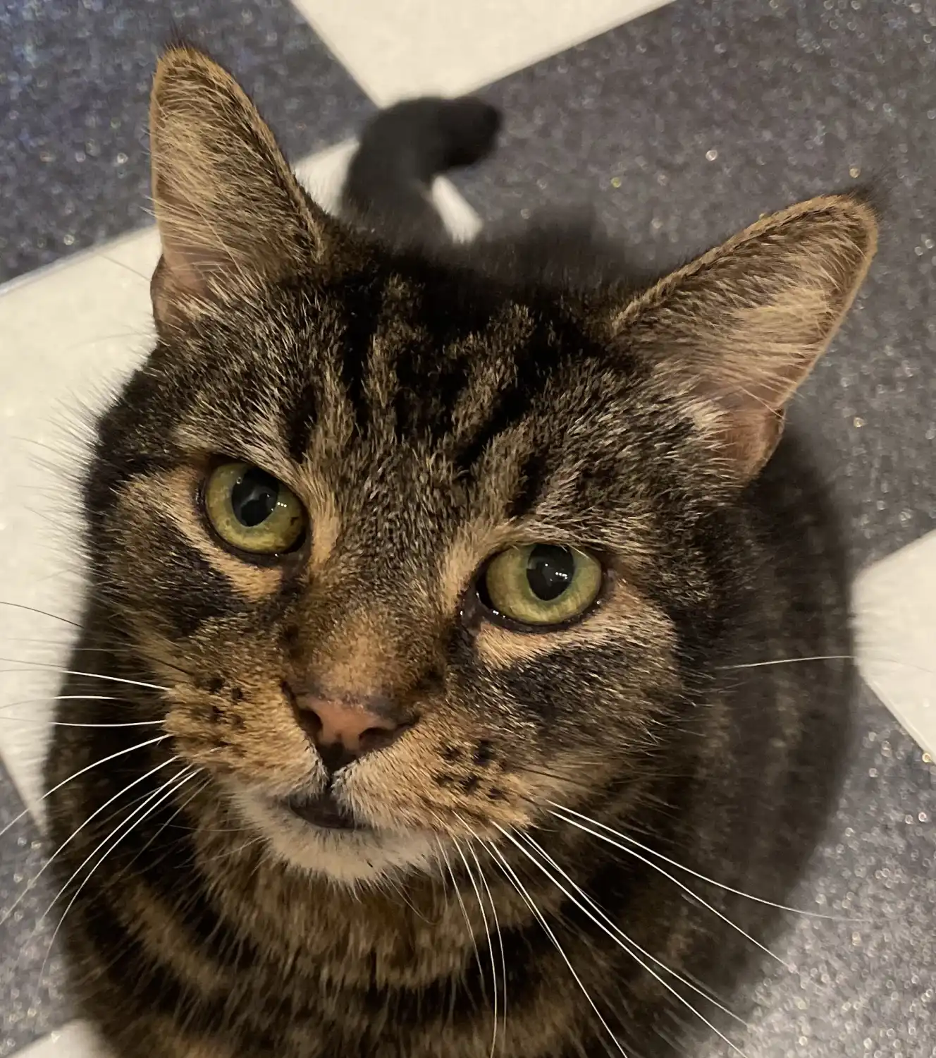 A Broad Look at Beginners' Issues