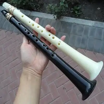 Saxophones - What is this interesting thing? | CafeSaxophone Forum