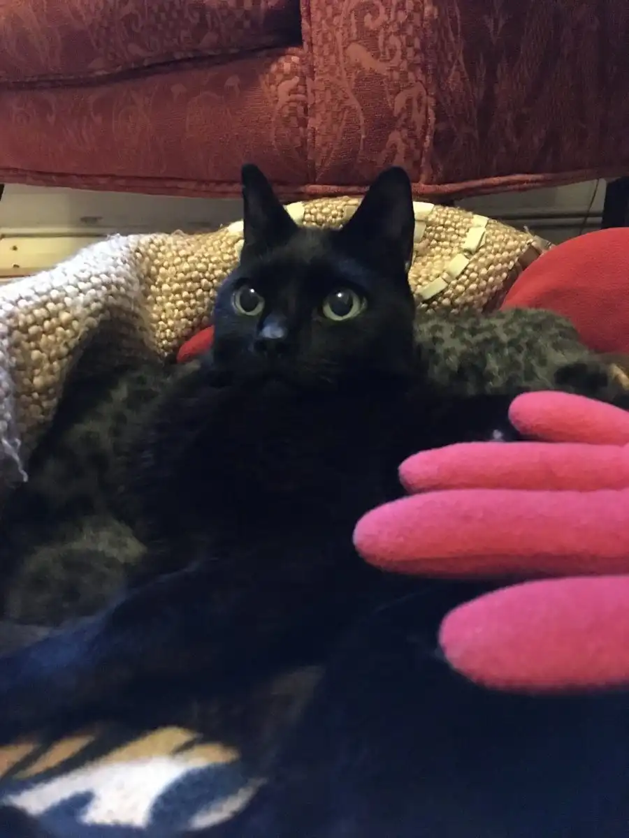 13044