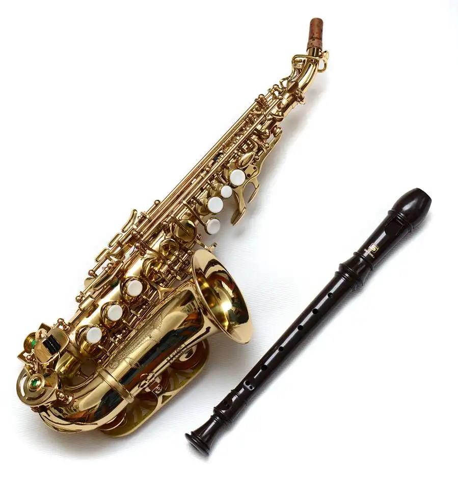 Misc instruments - The Saxinet (