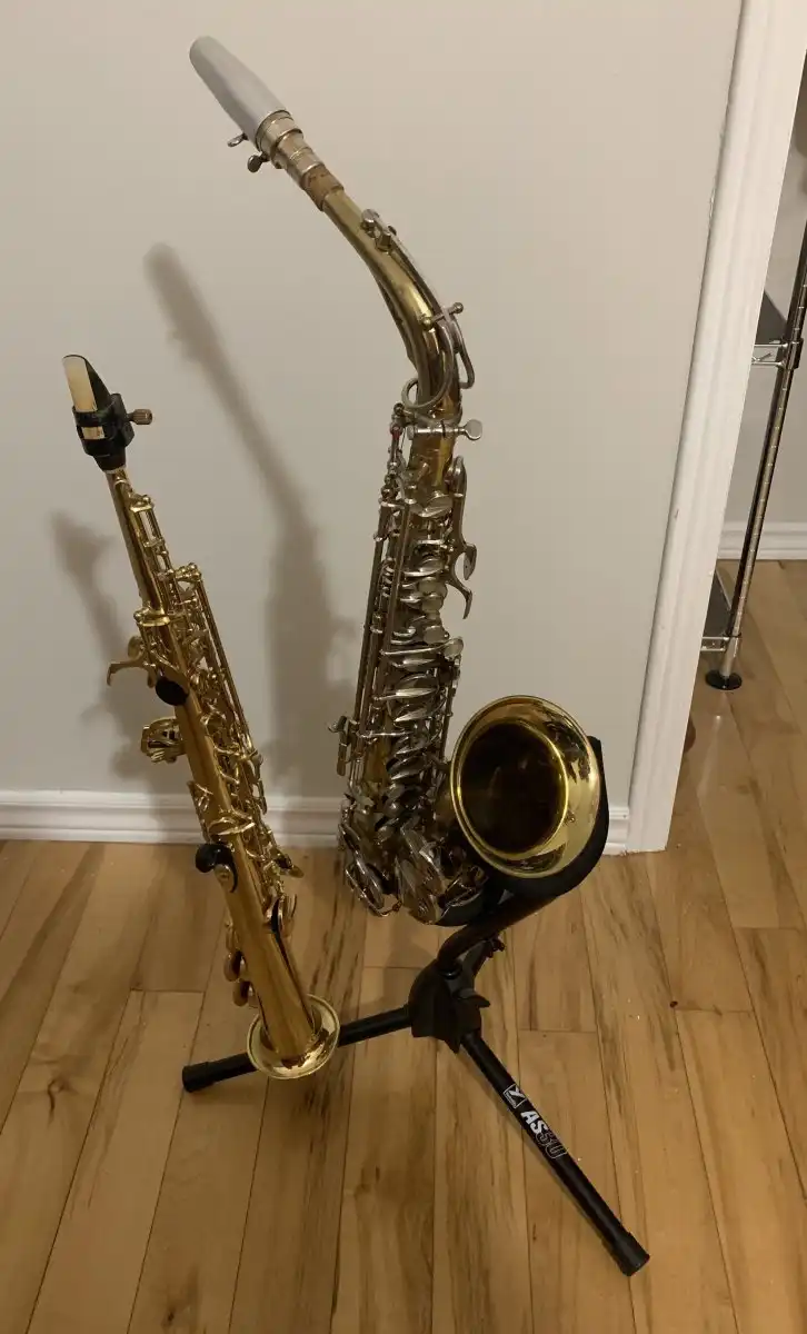 Saxophones - Has the hunt for the perfect horn (for you) been good ...