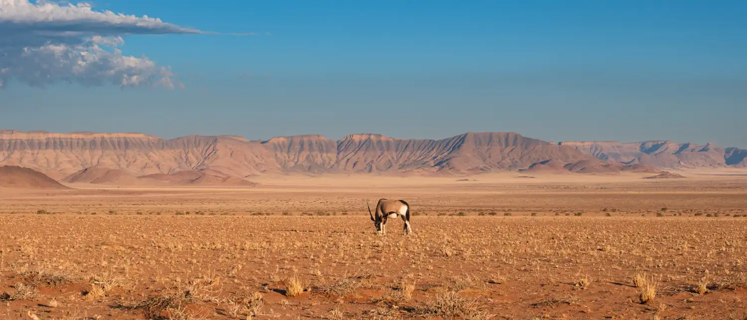 DSCF1851.webp