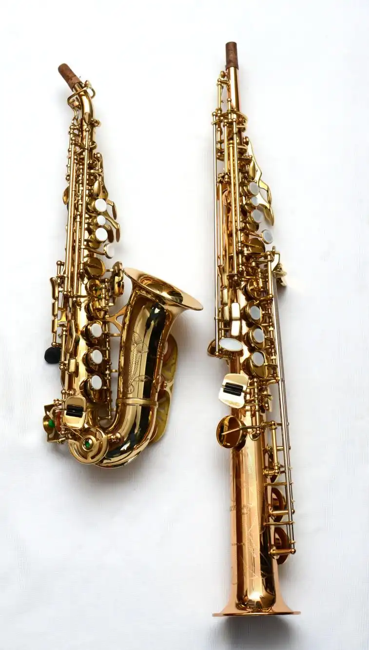 Misc instruments - The Saxinet (