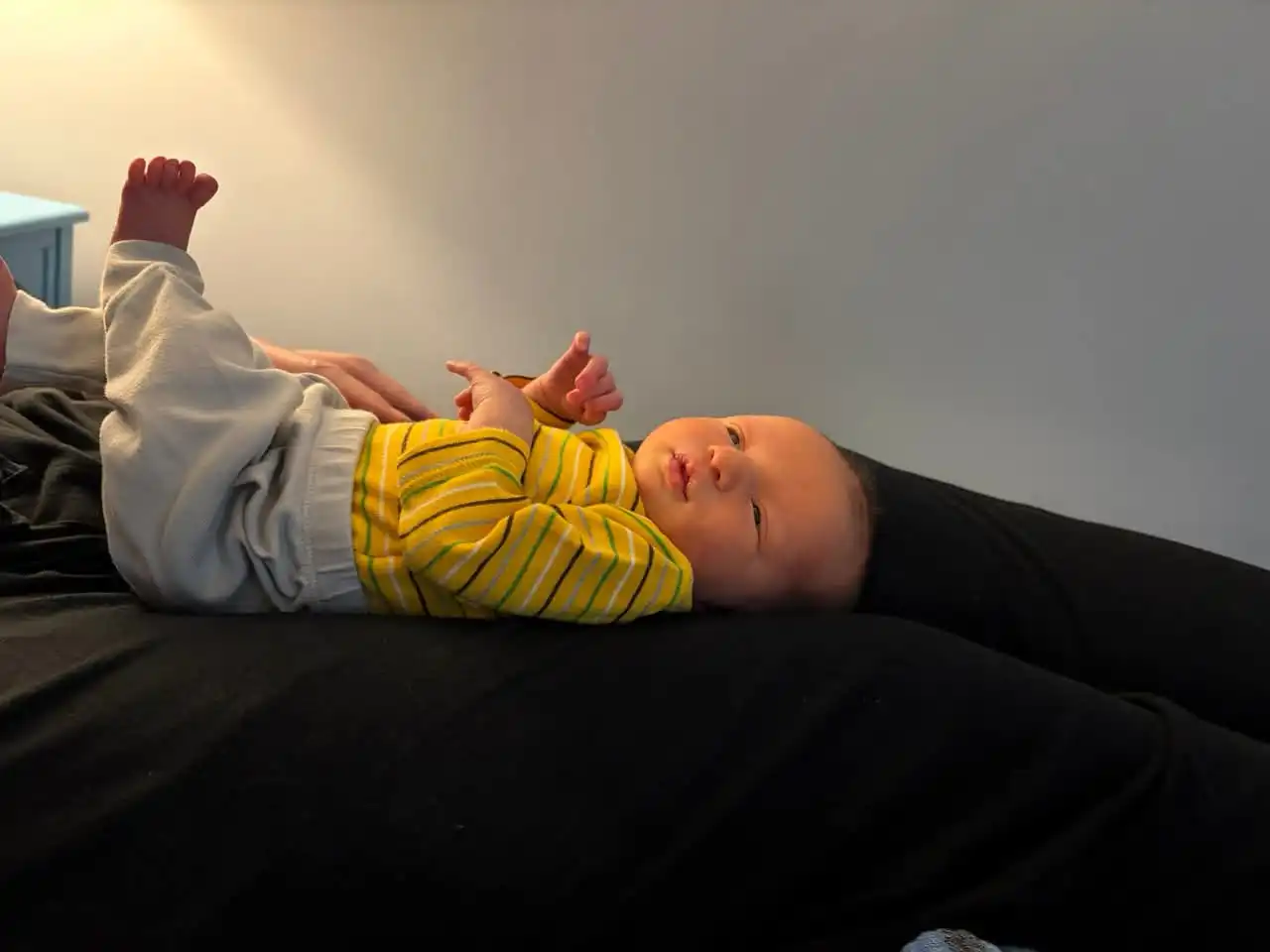 FB_IMG_1769647066336.webp