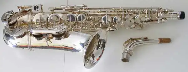 grassi-11.webp