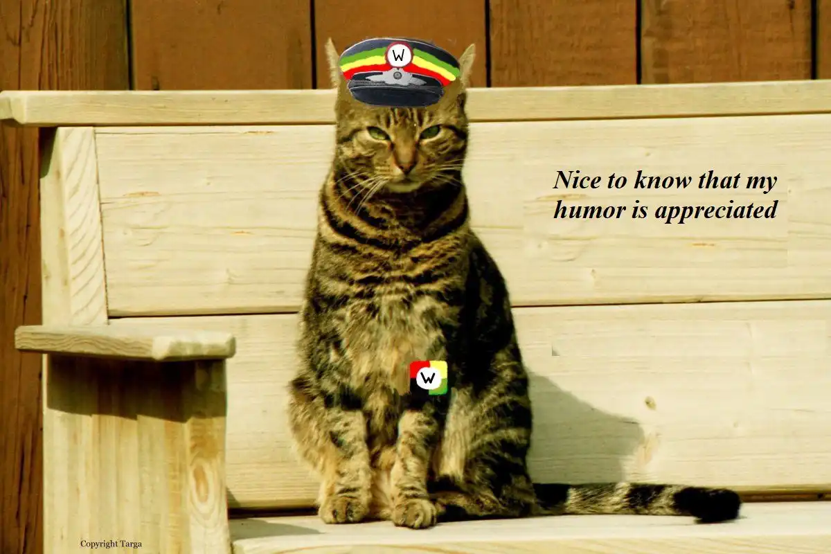Humor.webp