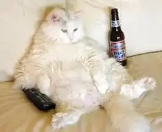 image.jpeg