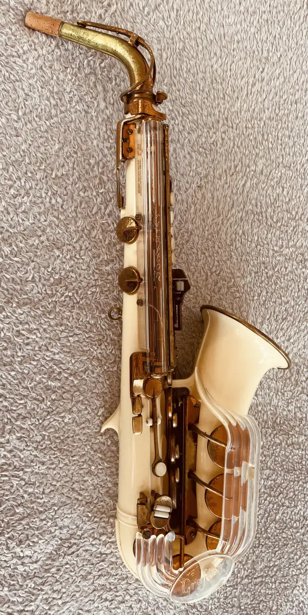 Saxophones - What have I gone and done now? | CafeSaxophone Forum