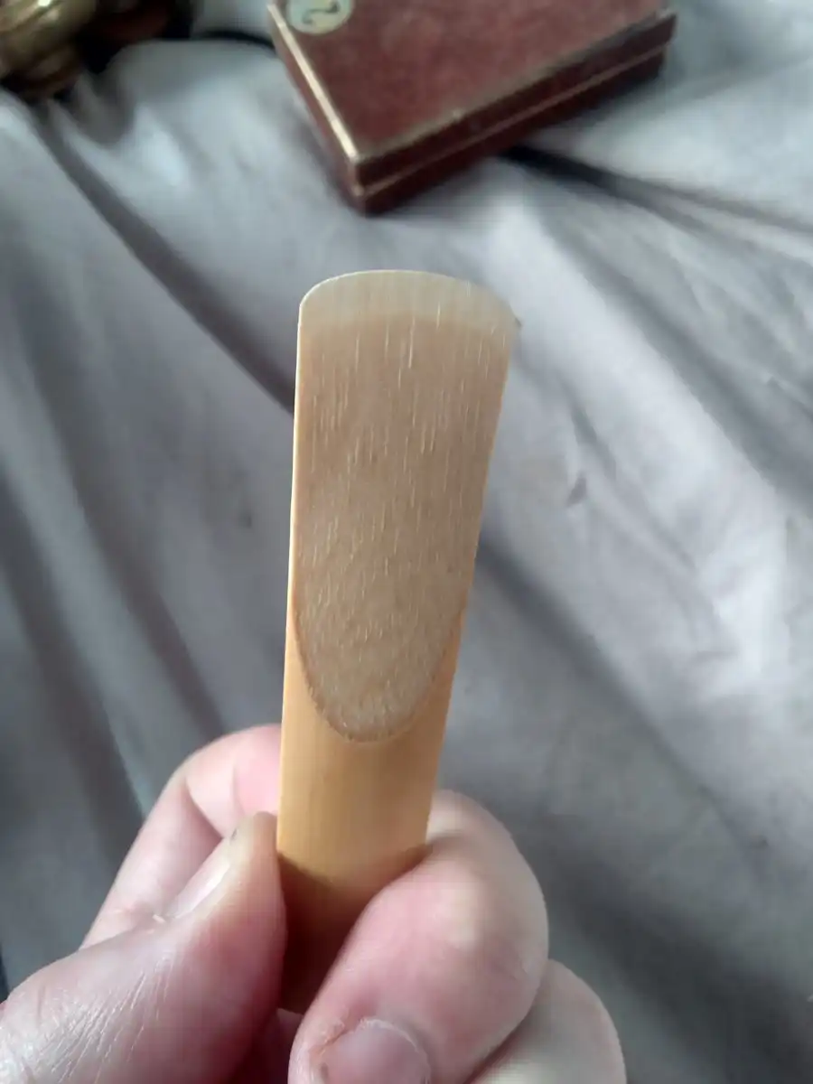 Reeds - Collector reeds | CafeSaxophone Forum