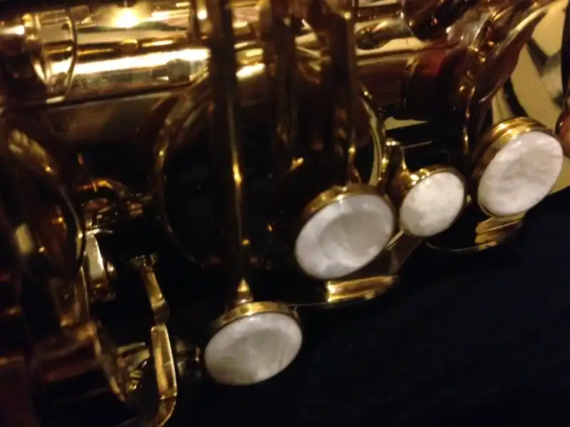 Saxophones - Cheap Sax before getting something better | Page 2 ...