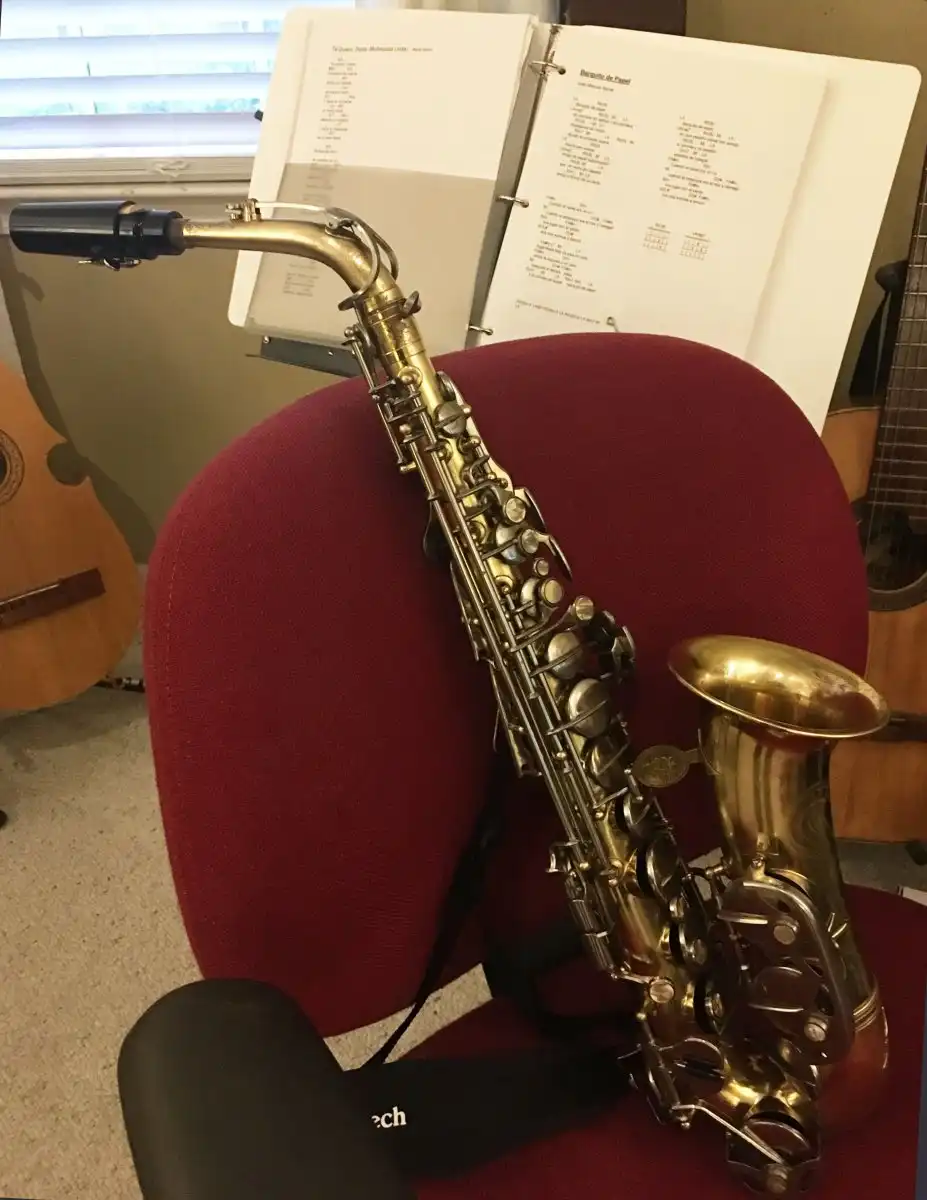 Saxophones - New to the Sax Universe | CafeSaxophone Forum