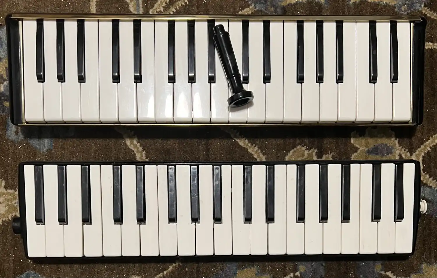 Misc instruments - Anyone Play a Melodica / Melodion ! | CafeSaxophone ...