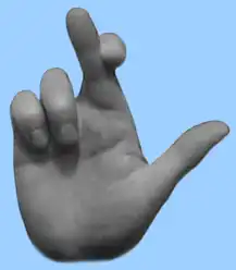 petefingers2.webp