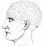 Phrenological-organs-1887-Wellcome-L0001965-CC-BY-1.webp