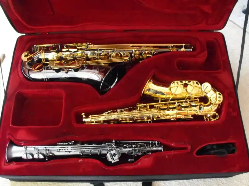 Saxophones - Accessories with New Saxophone | Page 2 | CafeSaxophone Forum