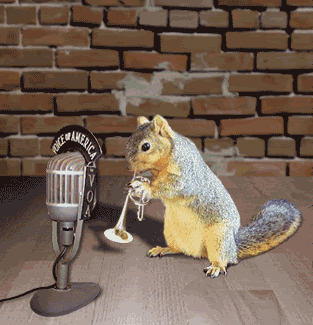 squirrel_trumpeter.gif