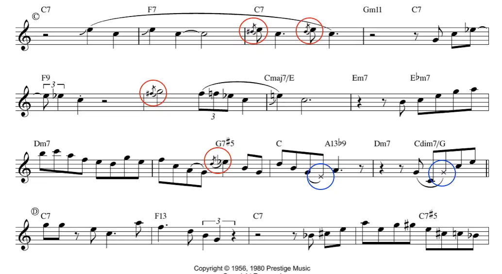TM_transcription.webp