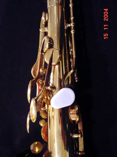 Vito-Beaugnier C Melody (Rhys) pic 11.webp