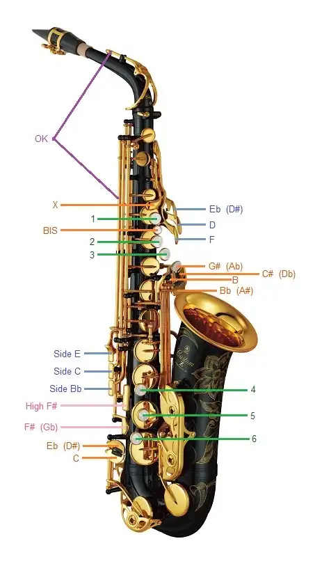 Intonation - Alto sax consistently flat/out of tune | CafeSaxophone Forum