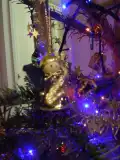 DSCN1375.webp