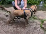 PXL_20260628_112544255.MP.webp