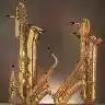 bari_queen