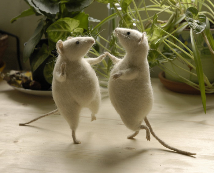 mice-can-dance-dancing-little-animals-28662996-700-565.jpg